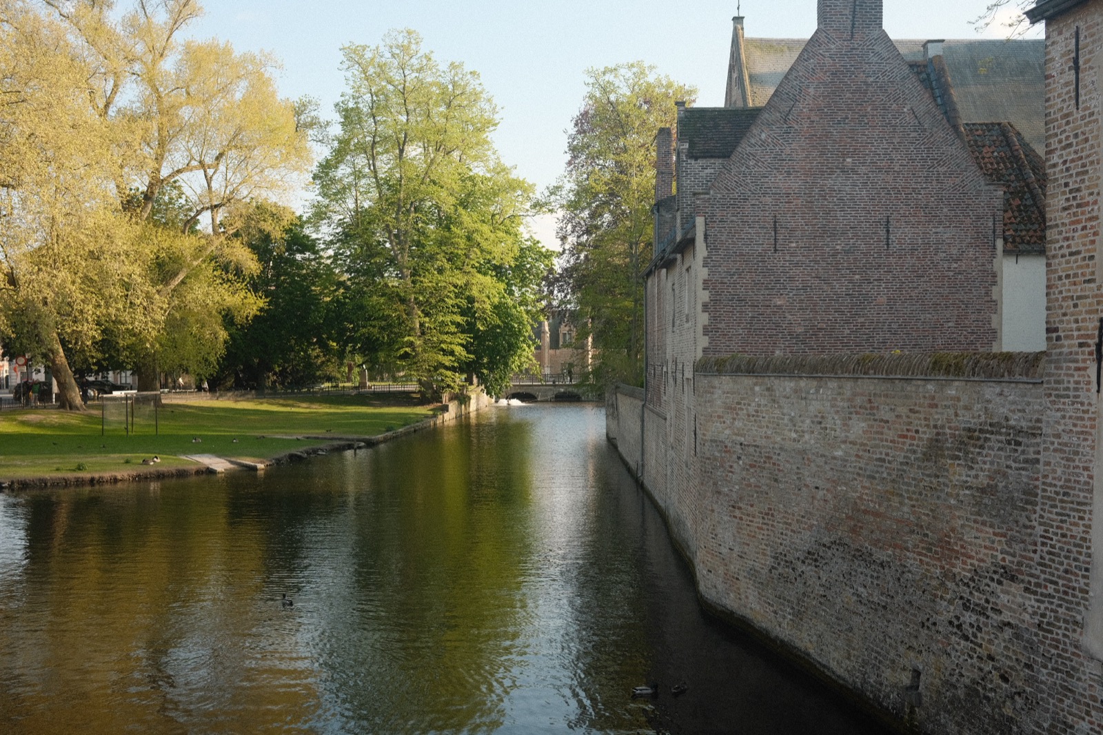 Canal in Bruges