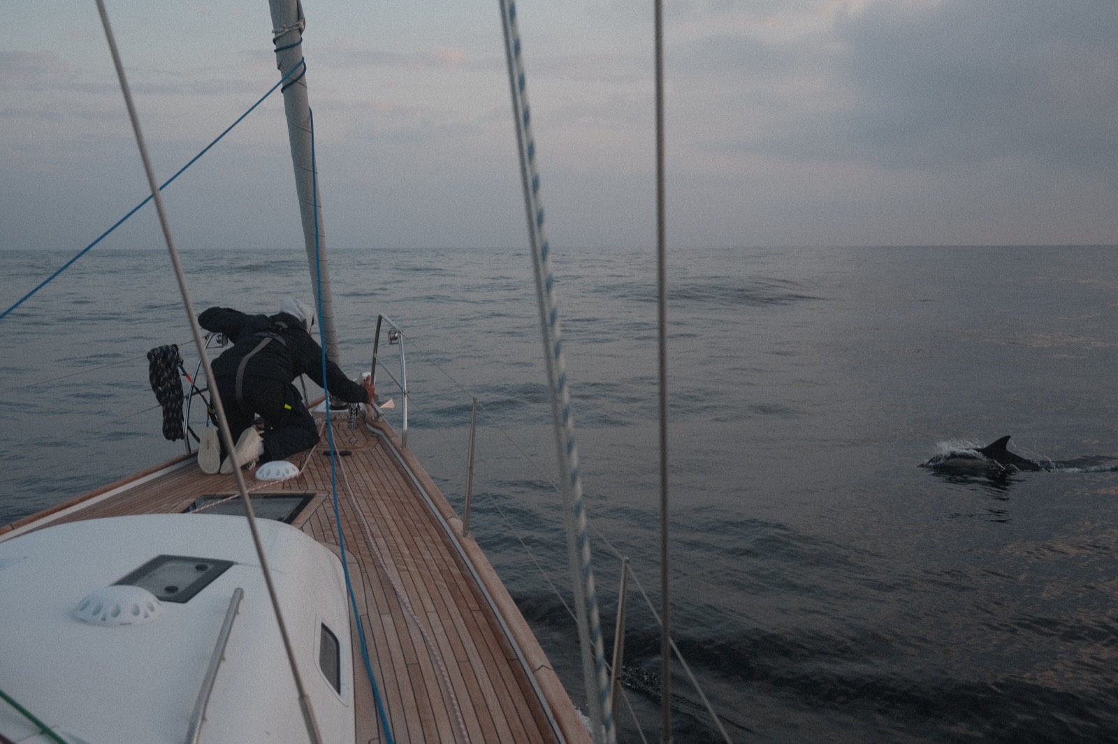 Watching dolphins from the bow