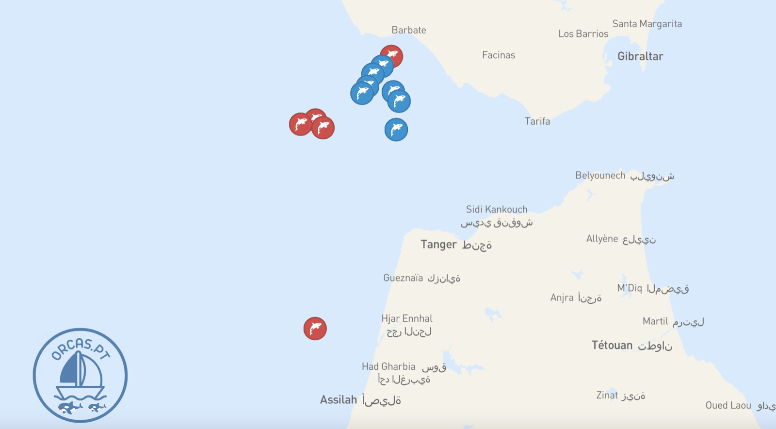 Orca incident map near the Strait of Gibraltar, via orcas.pt